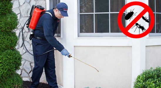 Mudurnu Hamam Böceği İlaçlama böcek ilaçlama ve haşere kontrolü — ilaclama-tr.com